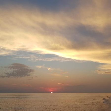 Apartma Katy Apartment Umag Bagian luar foto